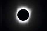 The Great American Eclipse at Parrott-Wood Memorial Library