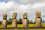 Easter Island Not Victim of ‘Ecocide’, Analysis of Remains Shows