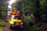 AEC Line Crews Help With Hurricane Irma Restoration