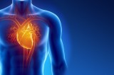 About Work-related Heart Disease About Work-related Heart Disease