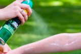 Avoid Dengue by Preventing Mosquito Bites Avoid Dengue by Preventing Mosquito Bites