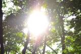 Welcome Summer 2019! Welcome Summer 2019!