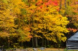 Happy Fall!! Happy Fall!!