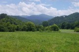 Lots 19, 20, 137 River Rapids Way, Del Rio Tennessee Lots 19, 20, 137 River Rapids Way, Del Rio Tennessee