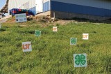 March is Extension Month in Tennessee March is Extension Month in Tennessee