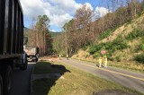 Upcoming Single-lane Closures on the Spur for Tree Removal, March 9, 2021 Upcoming Single-lane Closures on the Spur for Tree Removal, March 9, 2021