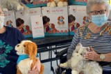 Amerigroup and Ageless Innovation Distribute Animatronic Companion Pets to Older Adults Living with Cognitive Decline and Social Isolation Amid Covid-19 Pandemic Amerigroup and Ageless Innovation Distribute Animatronic Companion Pets to Older Adults Living with Cognitive Decline and Social Isolation Amid Covid-19 Pandemic