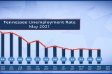 Unemployment Steady as the Economy Continues Rebounding
