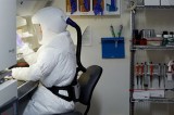 Breakthrough Cures for Hepatitis C Still Fail to Reach the Vast Majority of Americans Who Need Them Breakthrough Cures for Hepatitis C Still Fail to Reach the Vast Majority of Americans Who Need Them