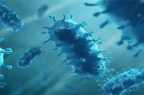 CDC Reports Increase in Human Rabies Cases Linked to Bats in the U.S. CDC Reports Increase in Human Rabies Cases Linked to Bats in the U.S.