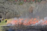 Park Plans Prescribed Burns in Cades Cove November 2022