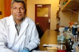 FSU research links common sweetener with anxiety FSU research links common sweetener with anxiety