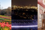 What’s New and Happening this Spring in Tennessee: What’s New and Happening this Spring in Tennessee: