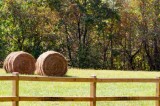 Tennessee Launches New Direct Hay Report to Support Local Farmers Tennessee Launches New Direct Hay Report to Support Local Farmers