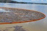 Shady Grove Boat Launch to Close Temporarily for Douglas Lake Cleanup Work Shady Grove Boat Launch to Close Temporarily for Douglas Lake Cleanup Work