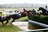Sports Wagering Council Strengthens Rules, Regulations Sports Wagering Council Strengthens Rules, Regulations