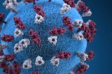 Tennessee Department of Health Confirms Two Additional Measles Cases Tennessee Department of Health Confirms Two Additional Measles Cases