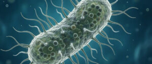 Ongoing Salmonella outbreaks linked to backyard poultry sickens 150 more people with over a quarter of cases in children under 5 years old